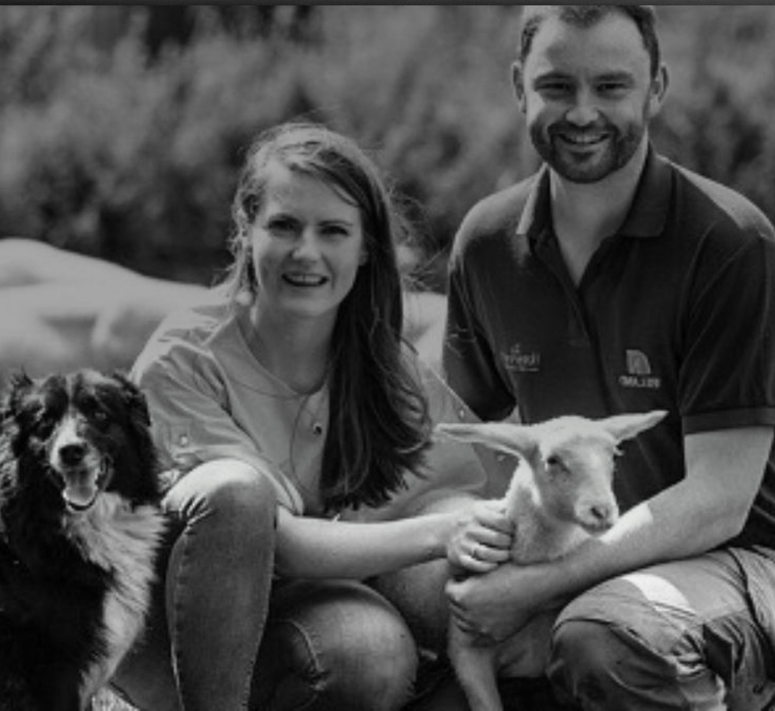 Owners of Ballyhubbock Farm sitting besides their sheep and a dog while supplying their goods to As One Restaurant Dubliln