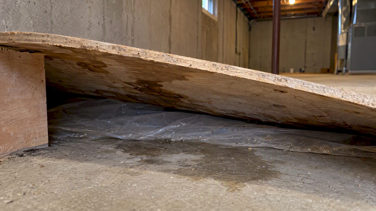 Lifted plywood reveals a damp basement floor cavity