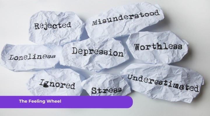 The Feeling Wheel