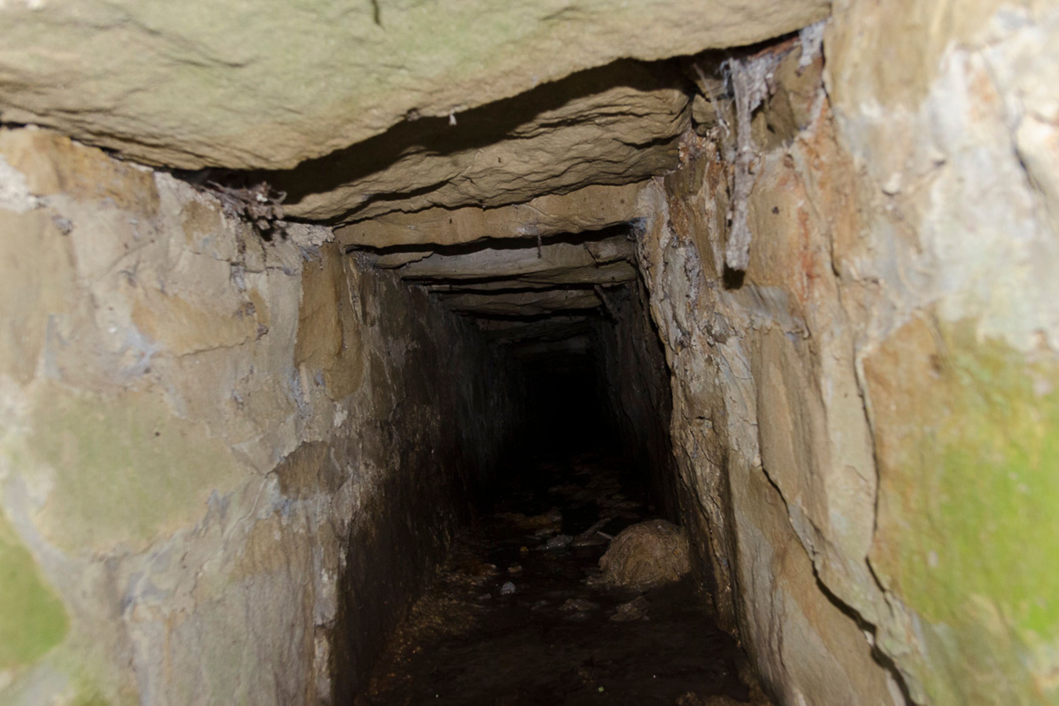 3.	Narrow, low-ceilinged tunnel constructed of rough-hewn stone walls leading into darkness.
