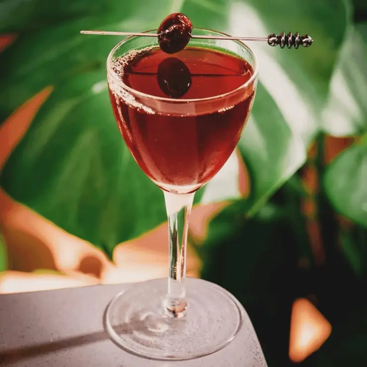 Cocktail glass filled with a deep red drink garnished with an olive and lemon peel, set against green leaves.
