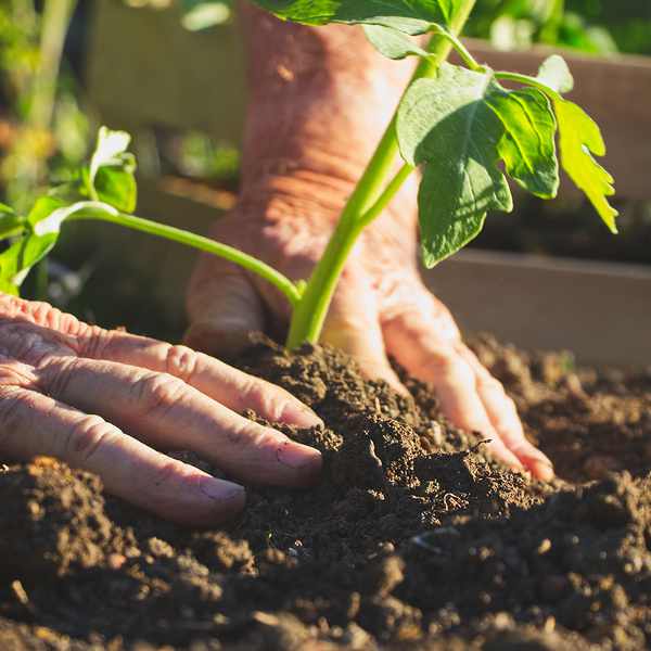 How farming cells instead of animals could reduce greenhouse gases