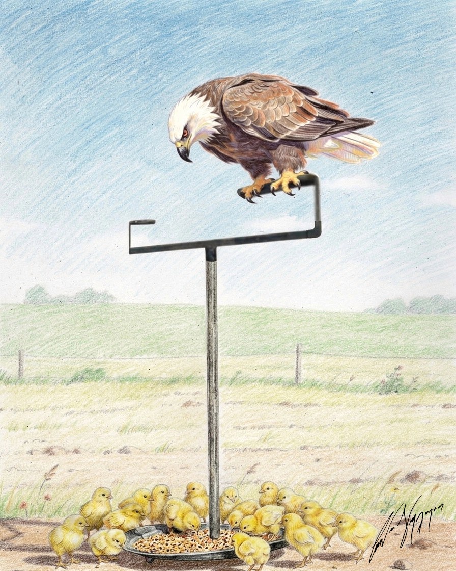 A Safe State Version II