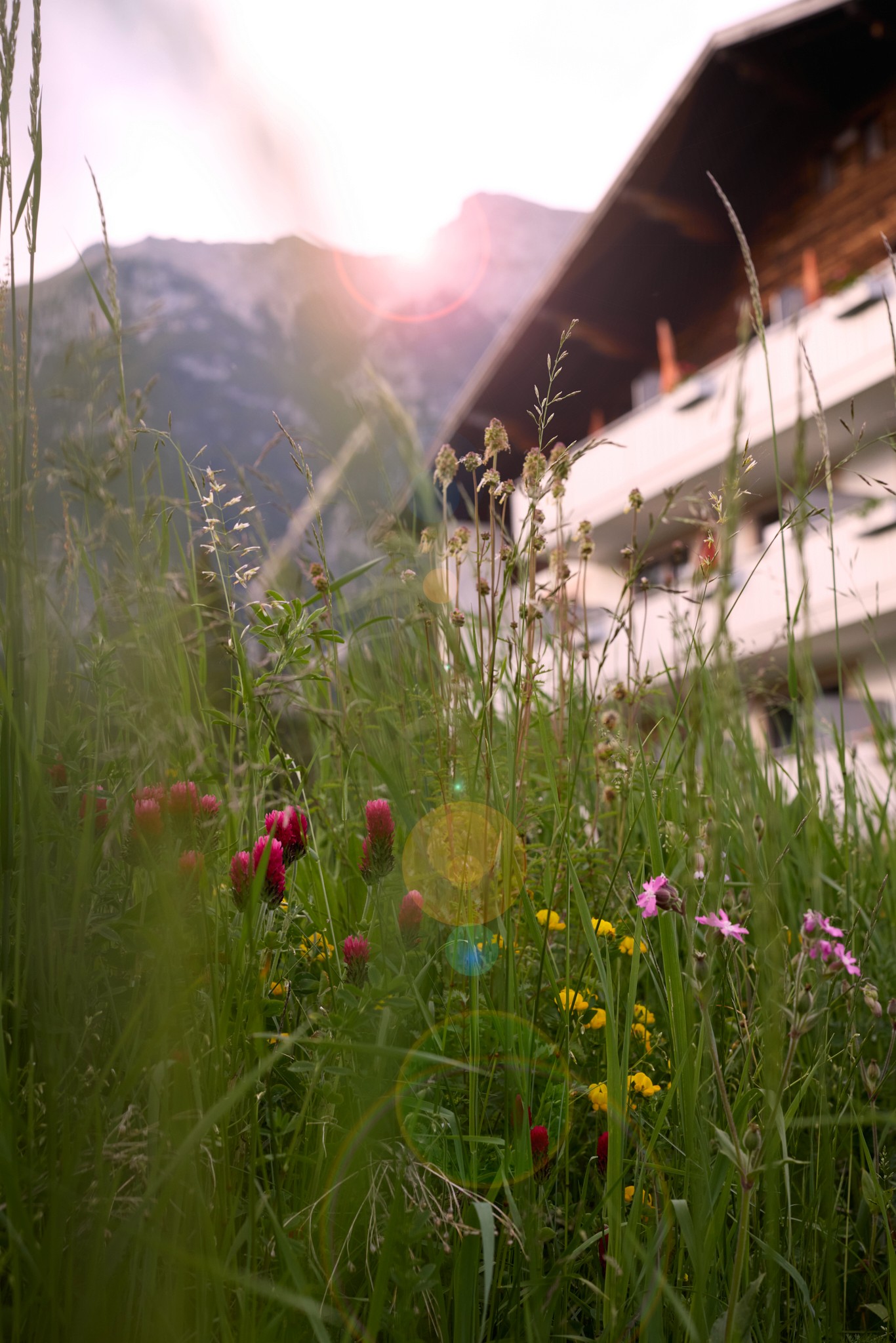 Aussenansicht Marigold