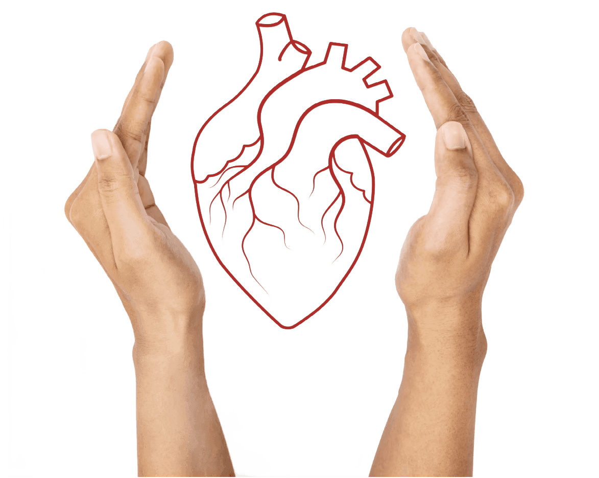 Hero Image (Background Removed) (Background Removed)