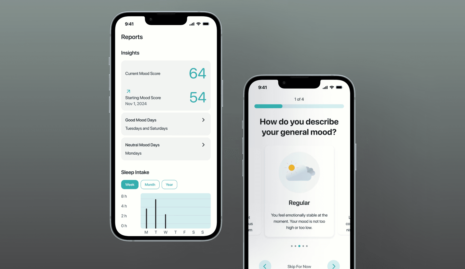2 mobile device mockups of bluemind app