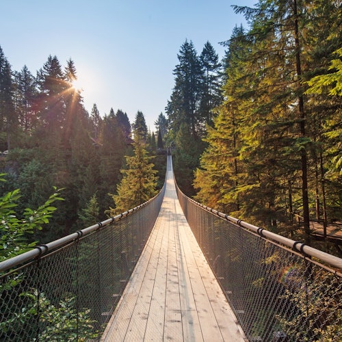 Puente Colgante Capilano