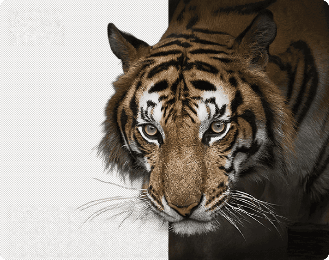 Four diverse professionals collaboratively working on a laptop, with one person pointing at the screen while others observe.