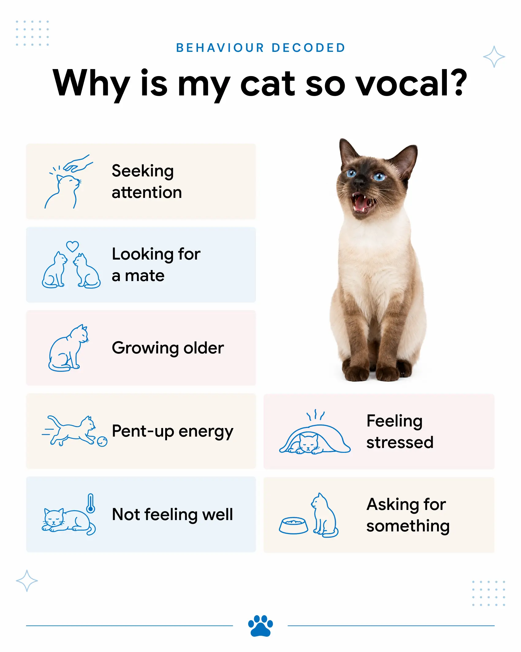 An infographic showing the common reasons why your cat is meowing so much, including asking for something, feeling stressed, and not feeling well.
