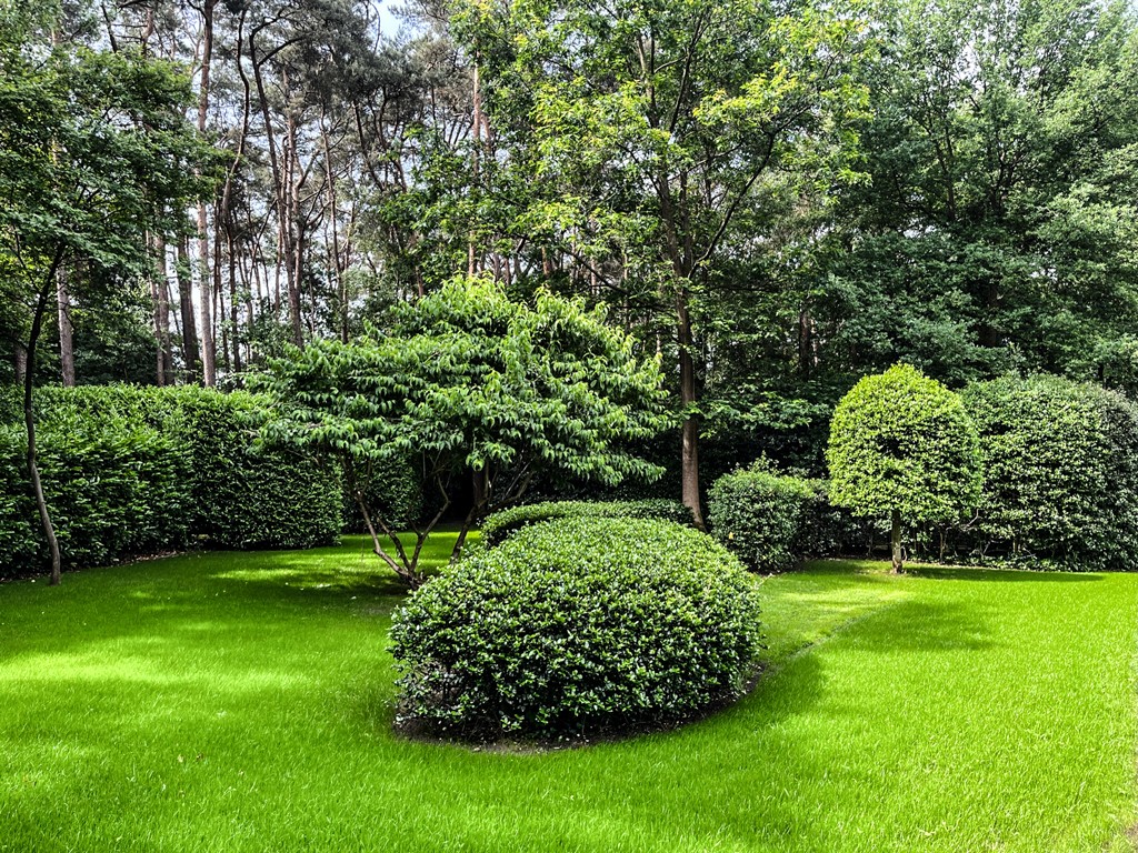 tuinonderhoud op zijn best met finesse