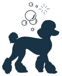 Logo Clientes