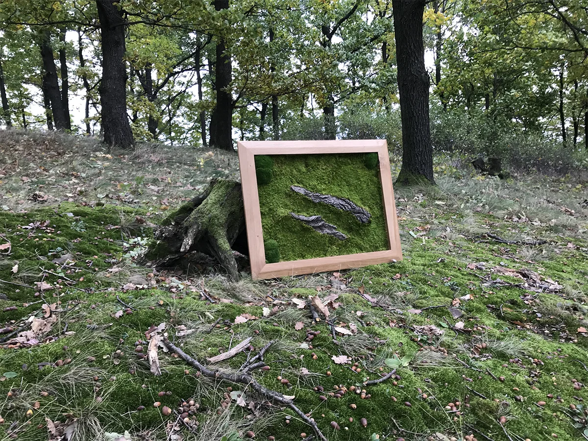 Mechový obraz Natureon v dubovém lese.