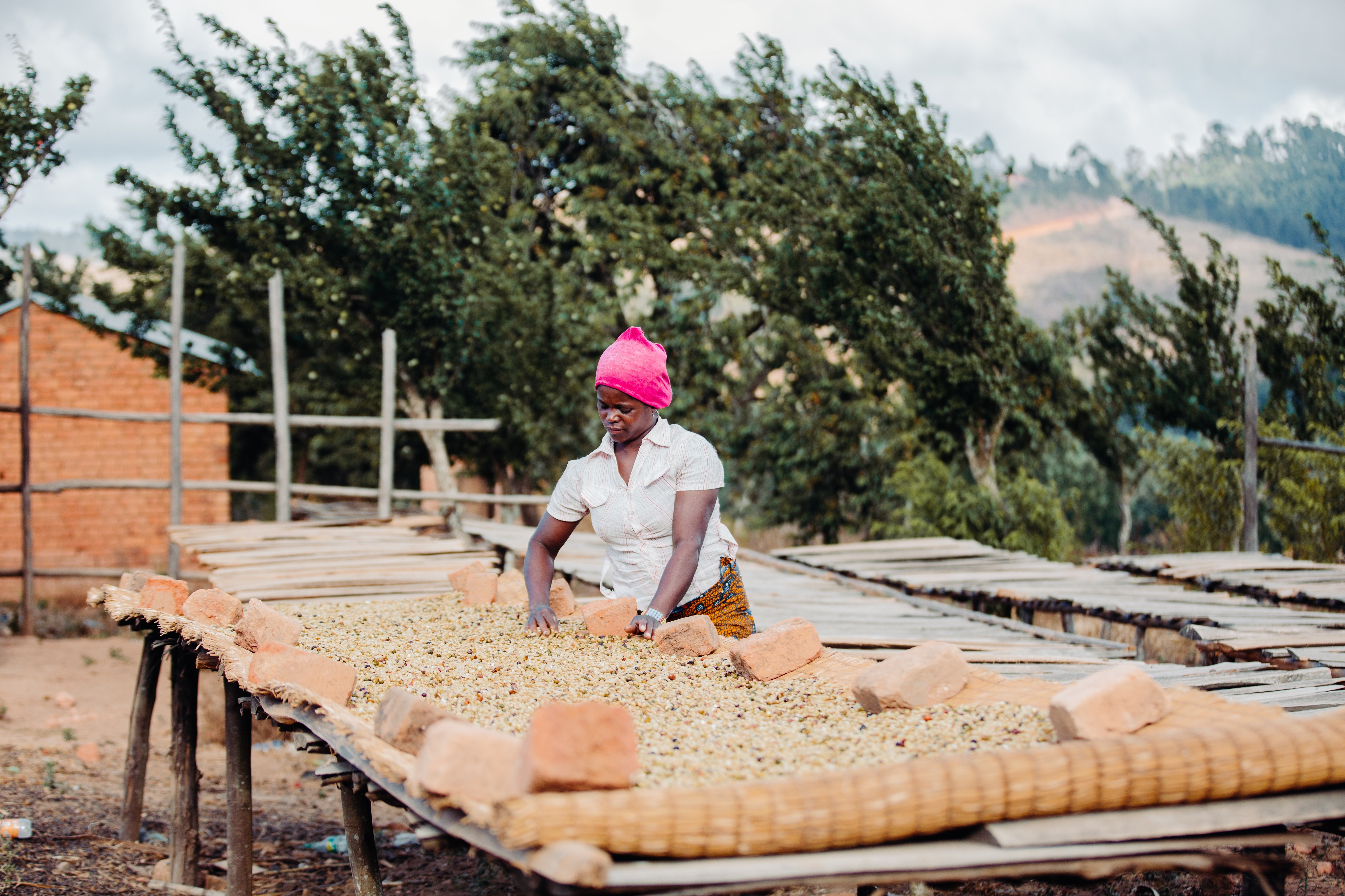 Best coffee from Africa