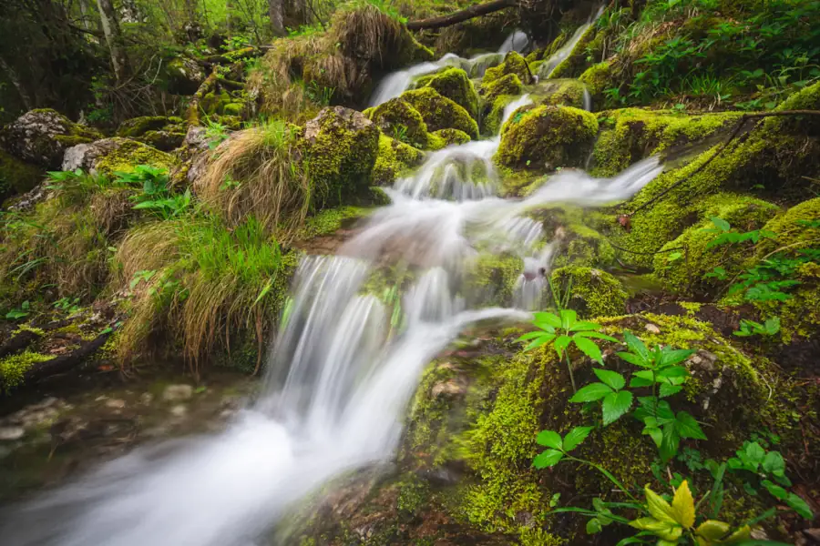 A wide, powerful waterfall cascading over a rocky cliff in a lush Slovenian forest, with water flowing into a clear pool surrounded by mossy rocks and vibrant green foliage during late spring.