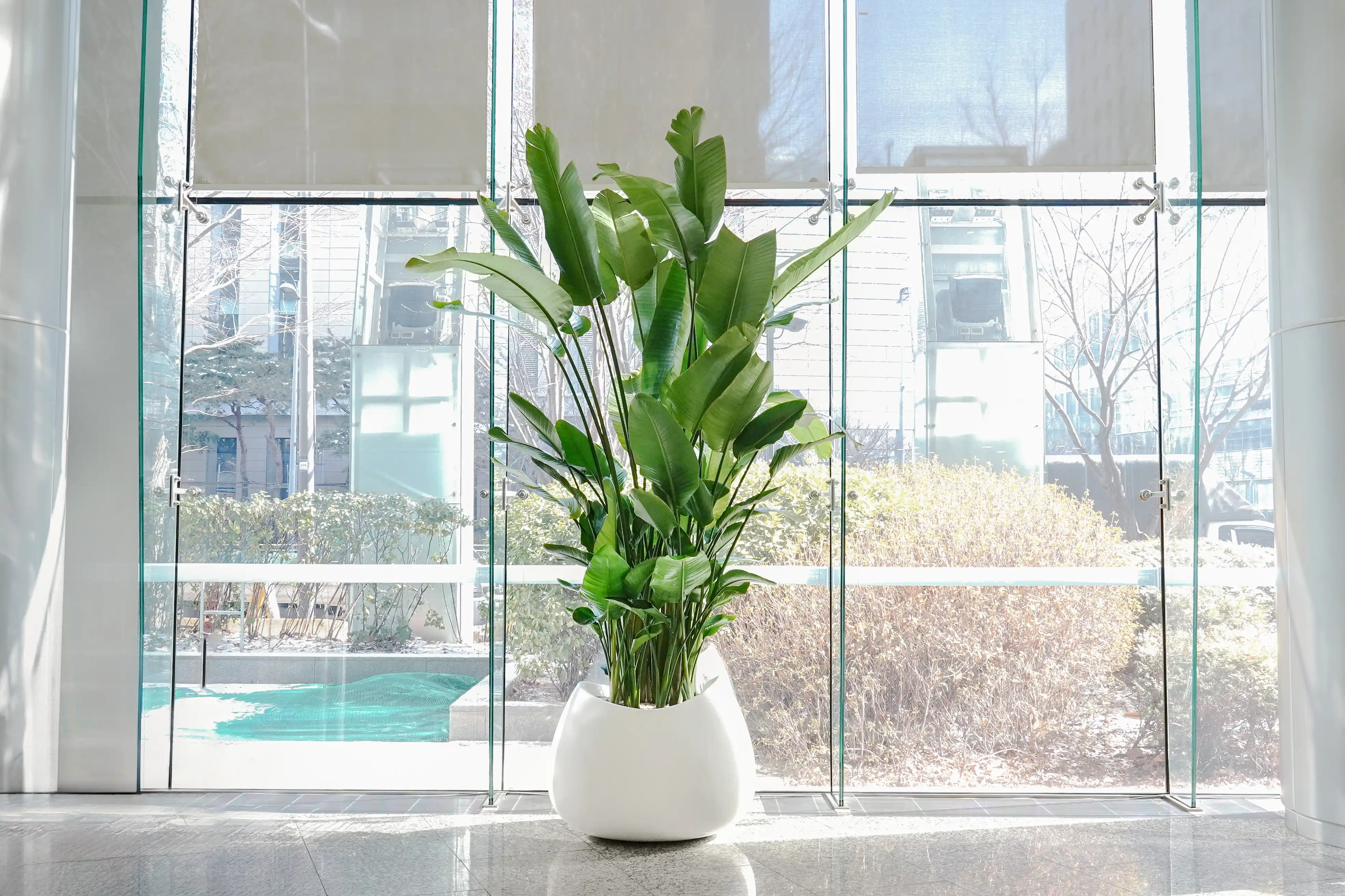 조경회사 에코피플이 디자인한 화분 조경