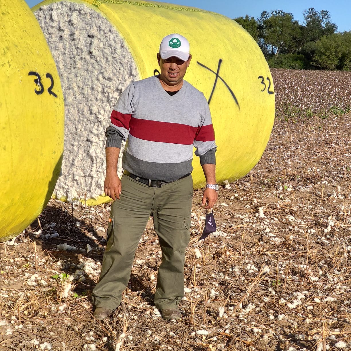 An image of Freelio's budget ui