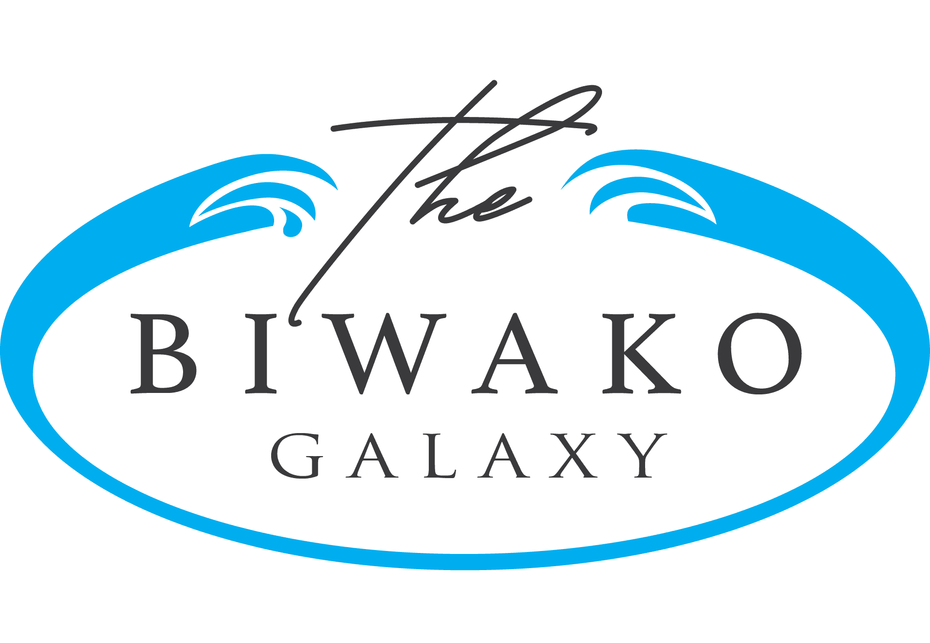THE BIWAKO GALAXY