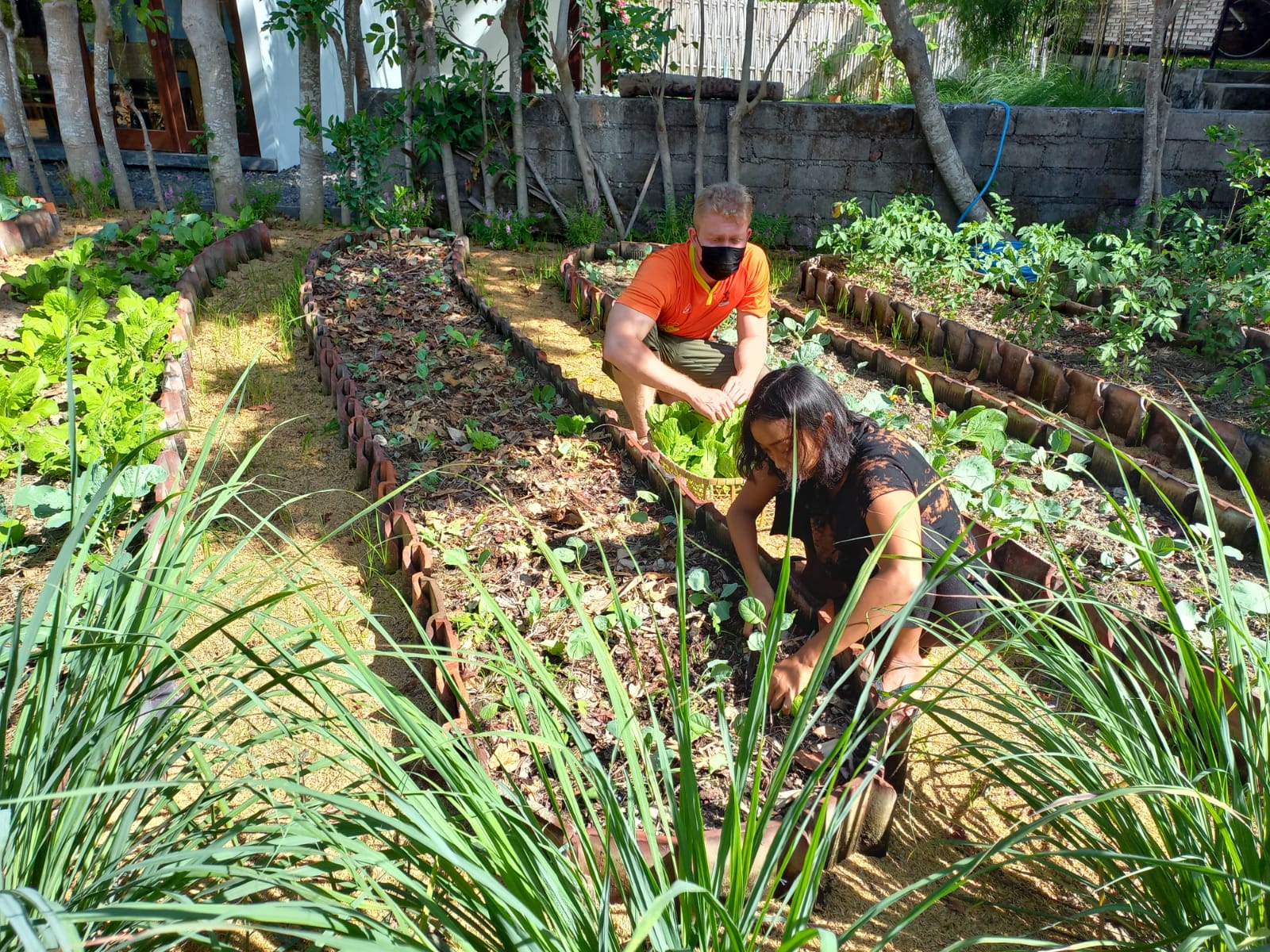 food from community garden