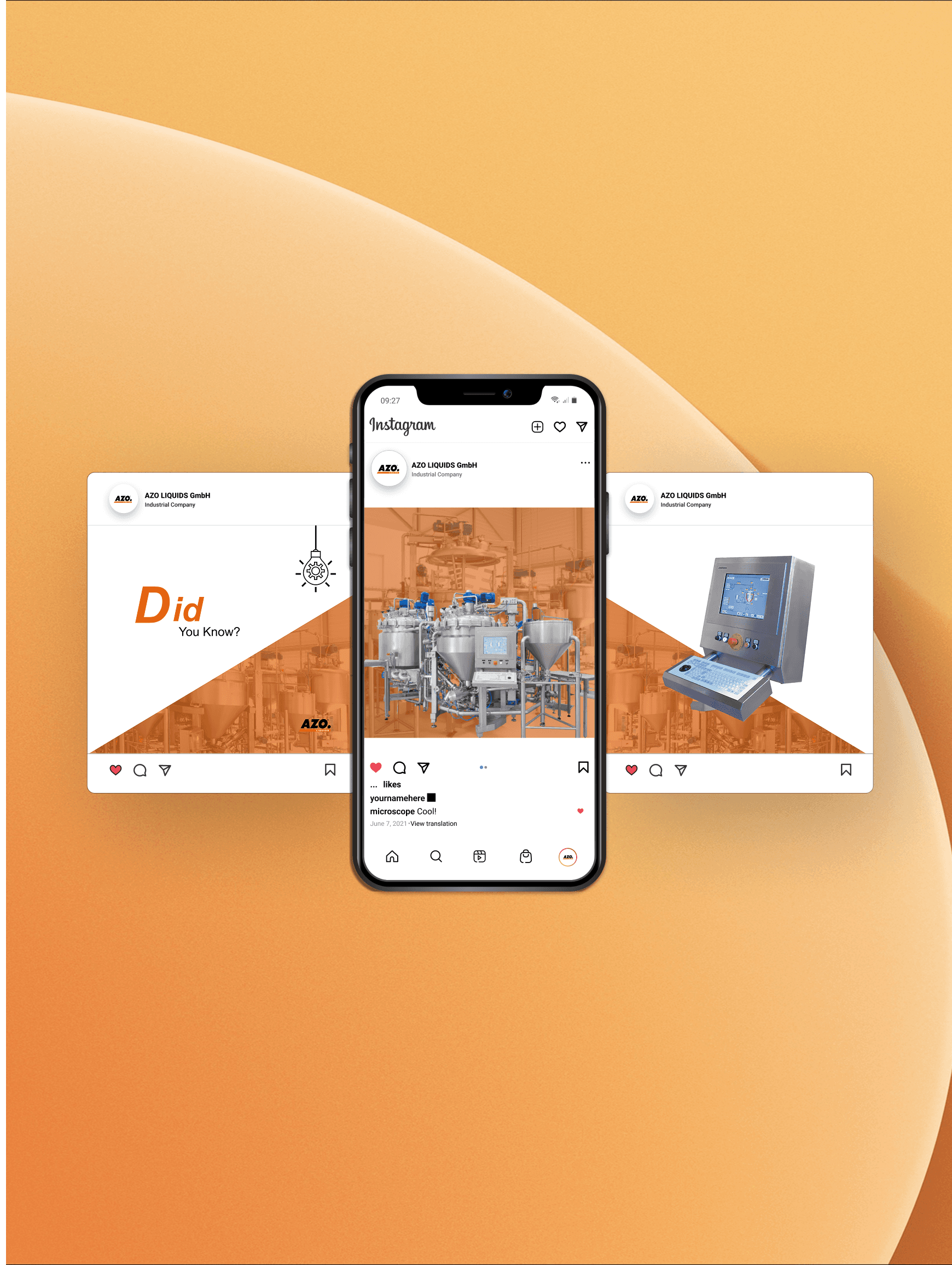 dark green leaves of coniferous plants