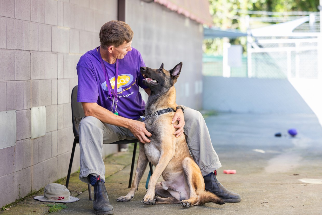 Man sitting on chair cuddling belgian shepherd dog