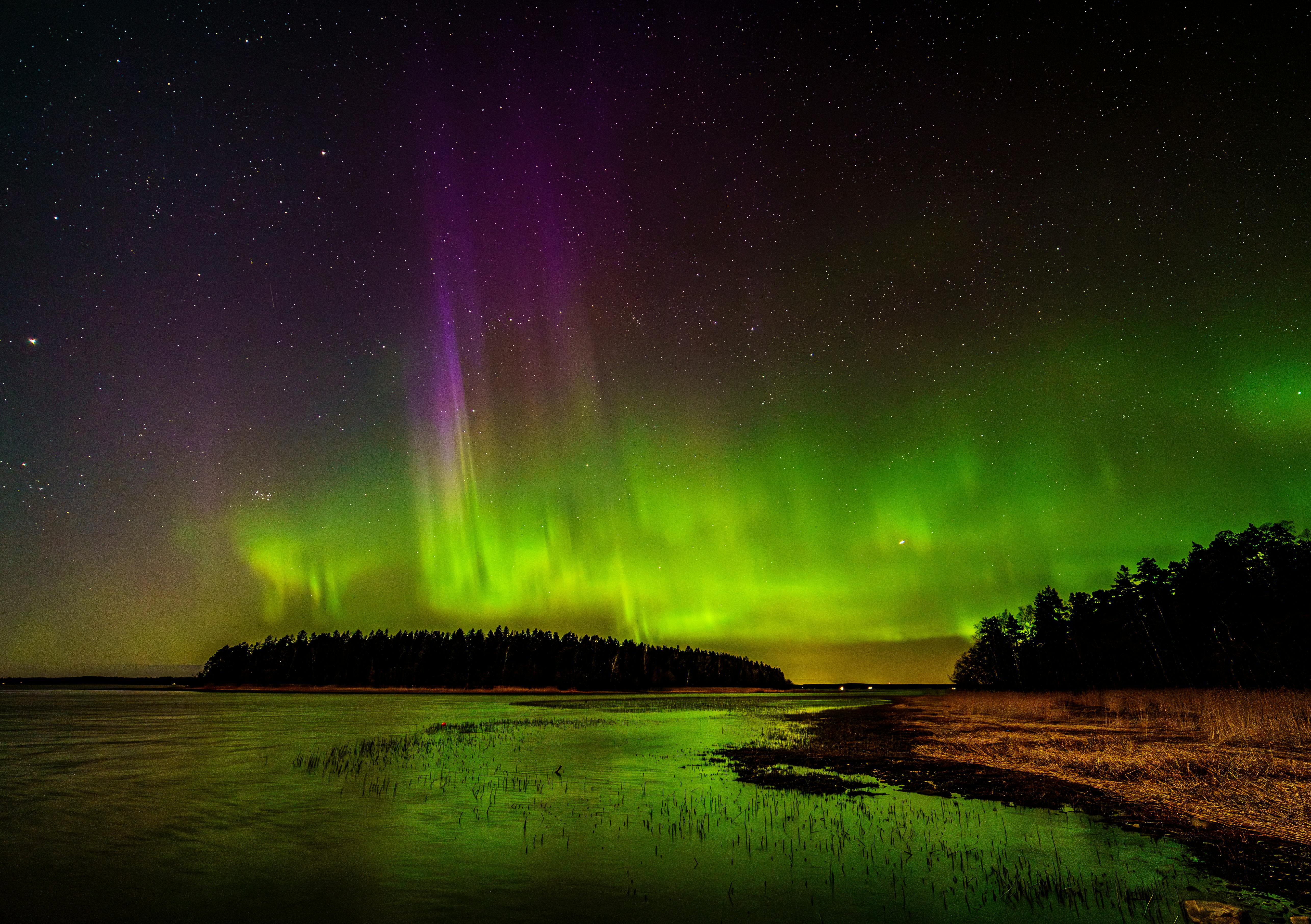 Service Photo Real Mehedi Free Framer Template Photography