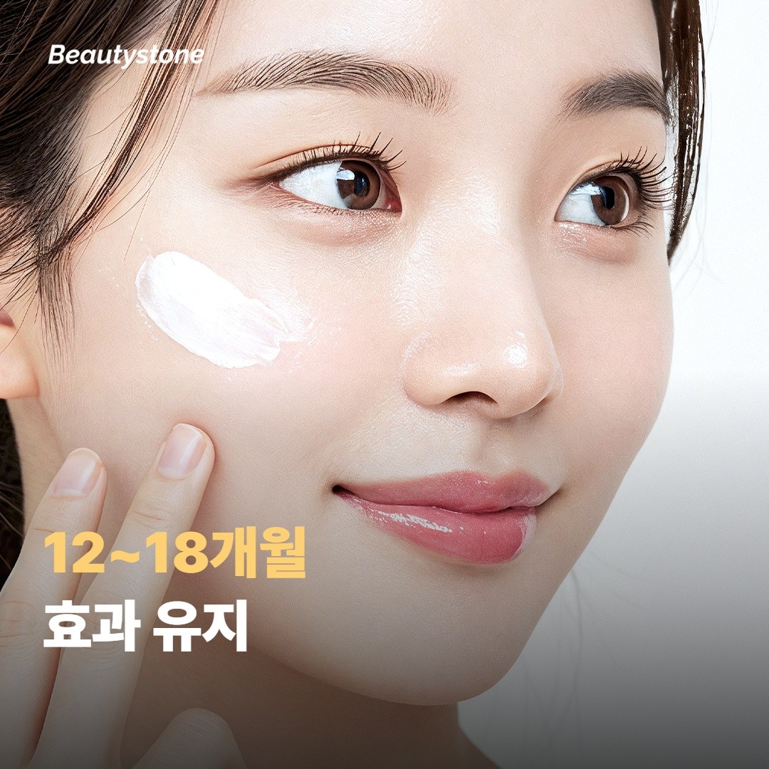 안전성과 한계