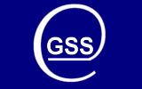 Gss Gemini Erp Logo