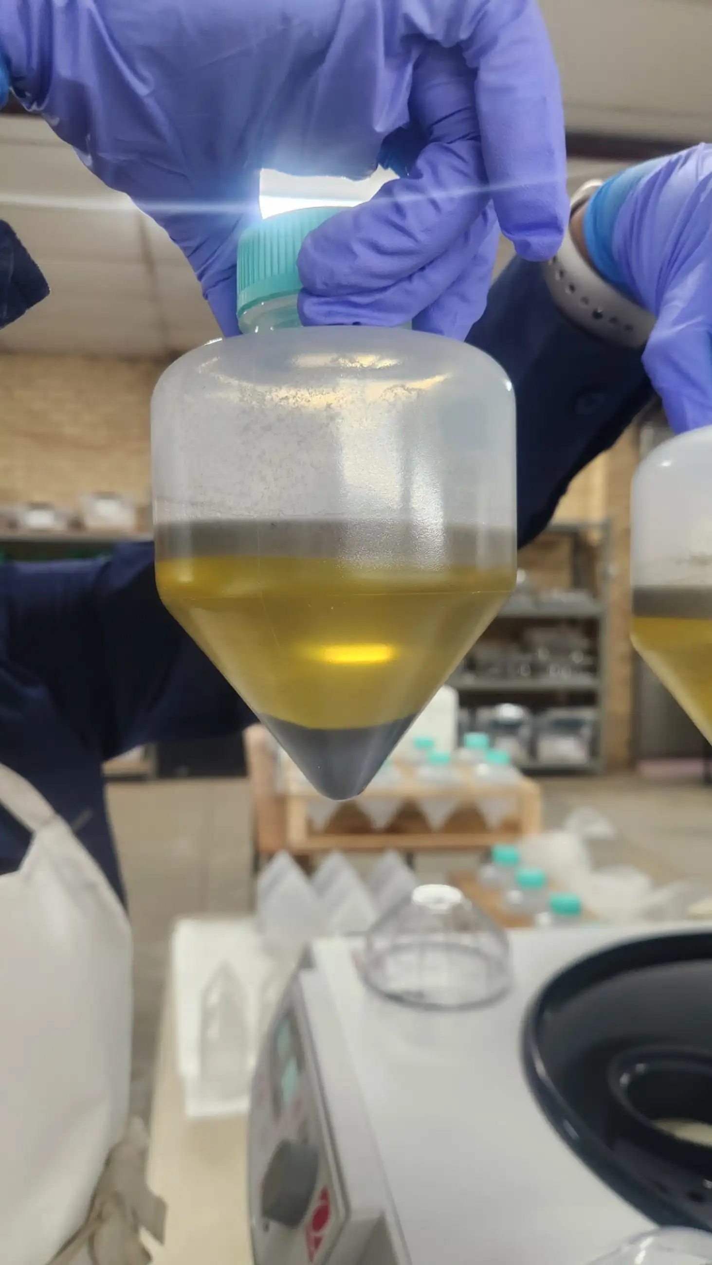 a person in a lab coat and gloves