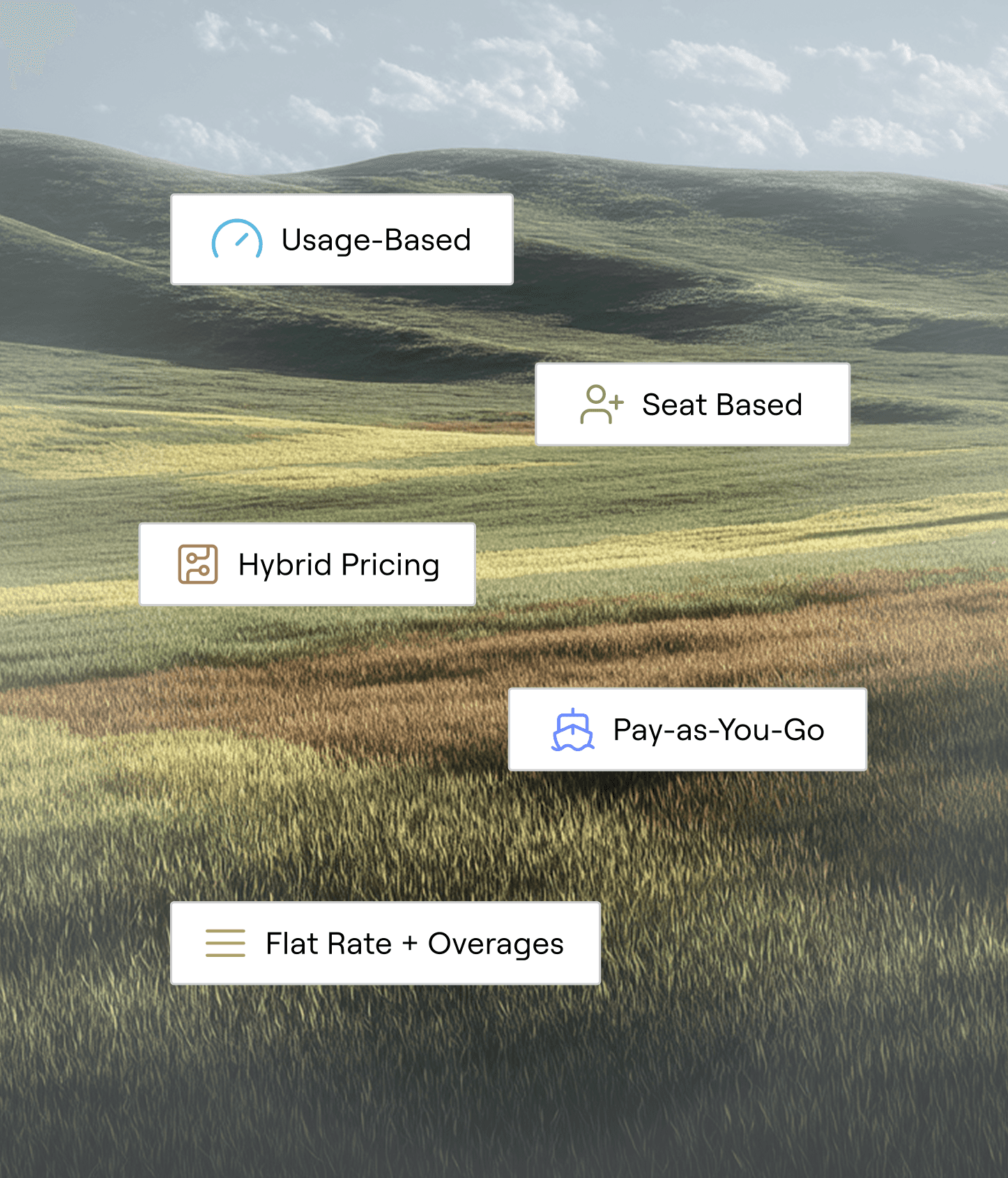 SaaS pricing platform supporting usage-based, seat-based, hybrid, and pay-as-you-go pricing models.