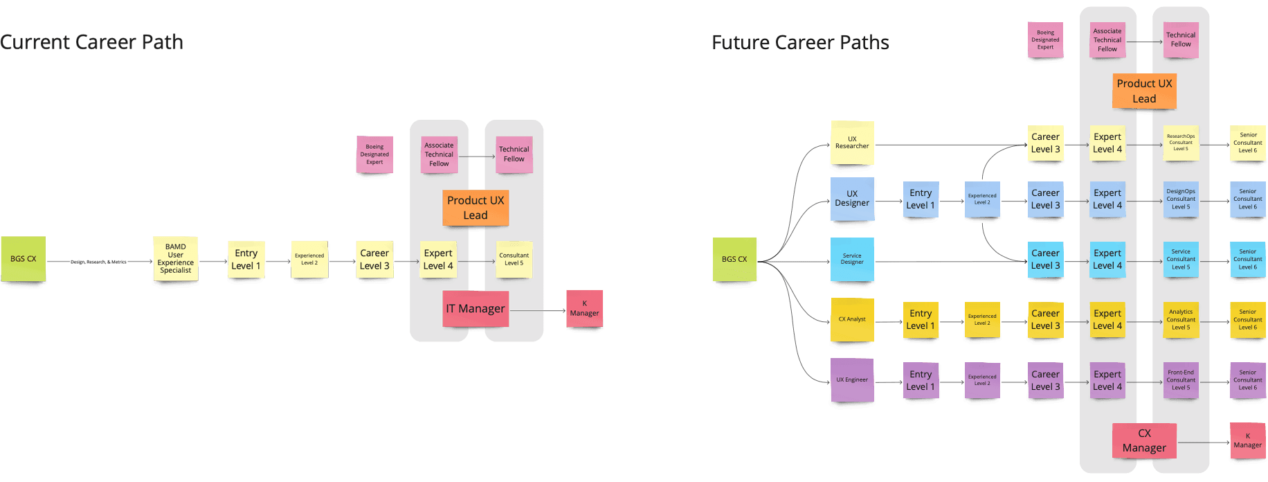 Diagrams of current and future career paths