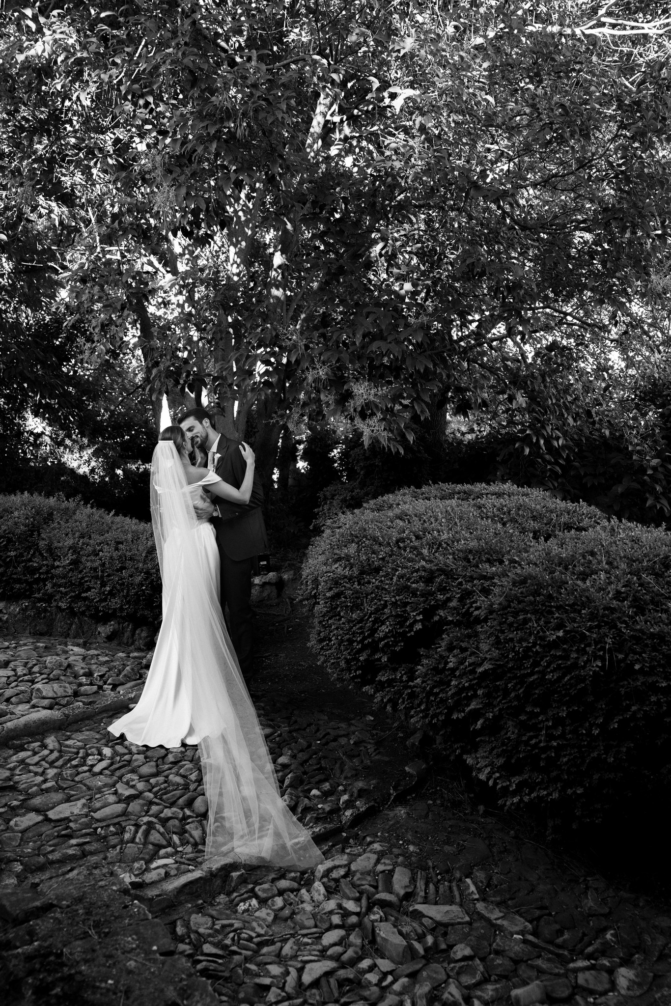 Sposa in abito bianco con velo sotto alberi al Castello di Scipione, reportage matrimoniale in bianco e nero