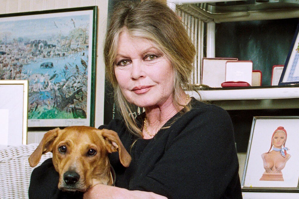 Portrait of Brigitte Bardot