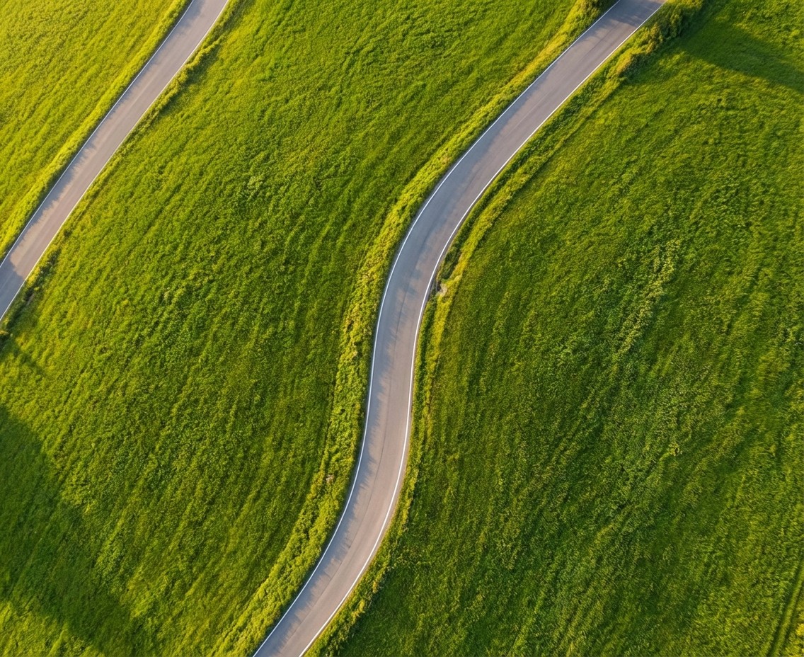 Aerial view of a winding road surrounded by dense green and yellow trees, showcasing nature’s vibrant colors.