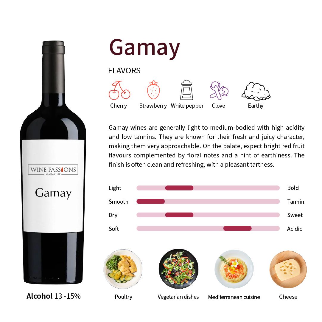 Gamay Gamay grapes, Gamay wine, Beaujolais grapes, how to taste Gamay, Gamay flavor characteristics, French red grapes, low-tannin red wine, fresh-fruity red wine, food pairing with wine, main production areas of Gamay, famous Gamay wines, wine decanting techniques, how to choose a wine glass, naturally produced Gamay, recommended light red wines.