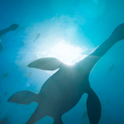 侏罗纪时期，距今约1.8亿年