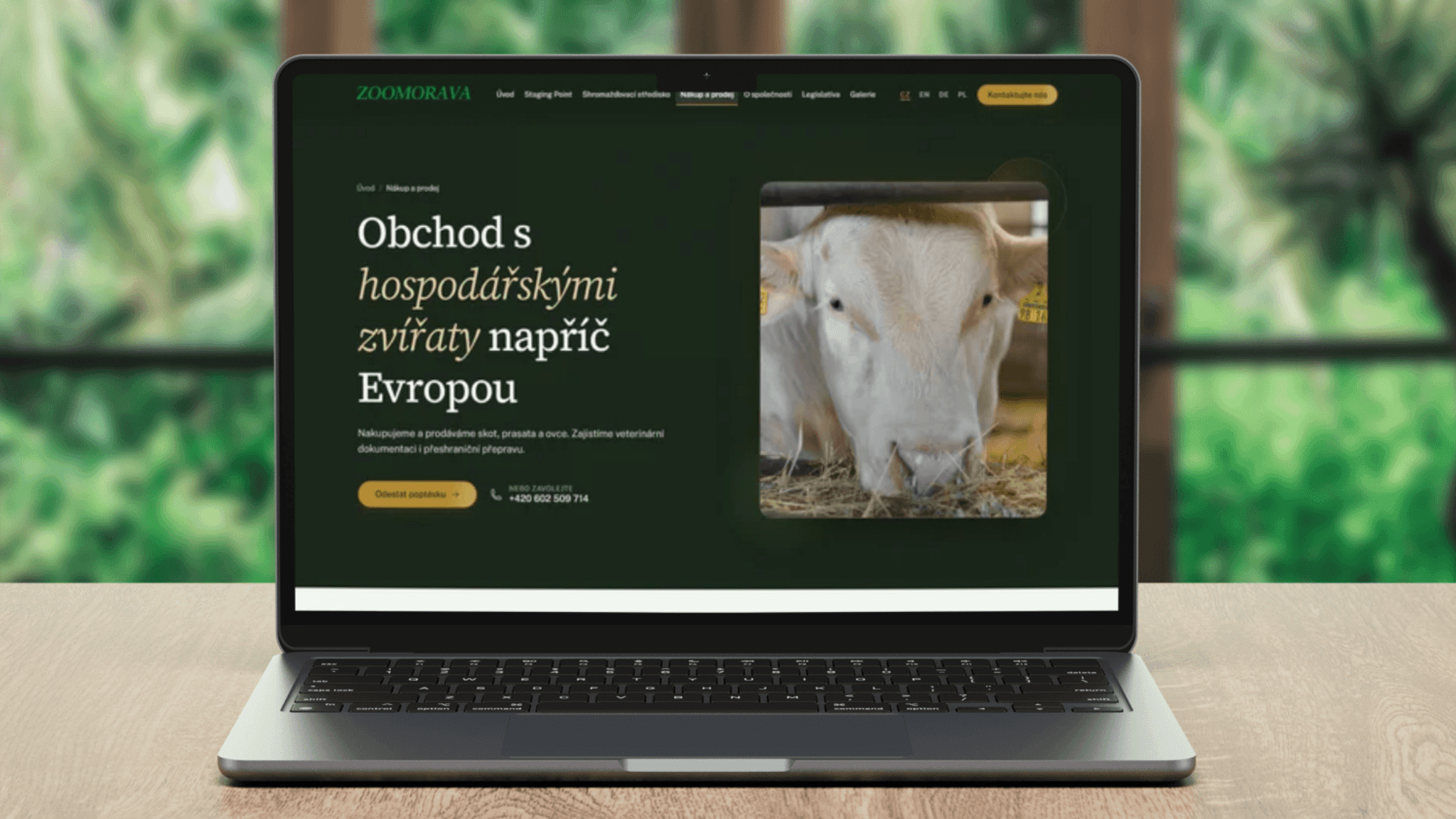 ukázka webu zoomorava s.r.o.