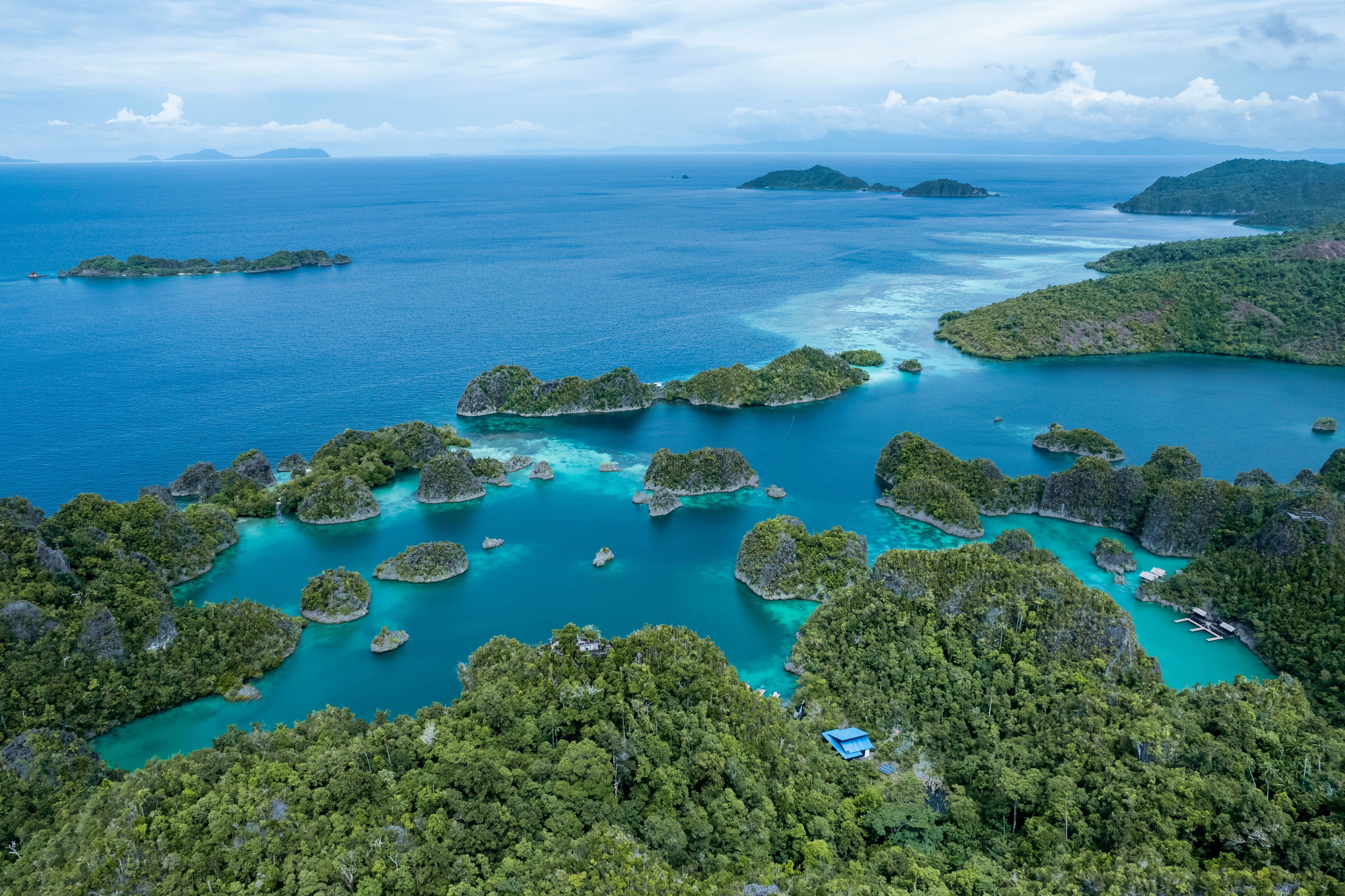 Komodo island