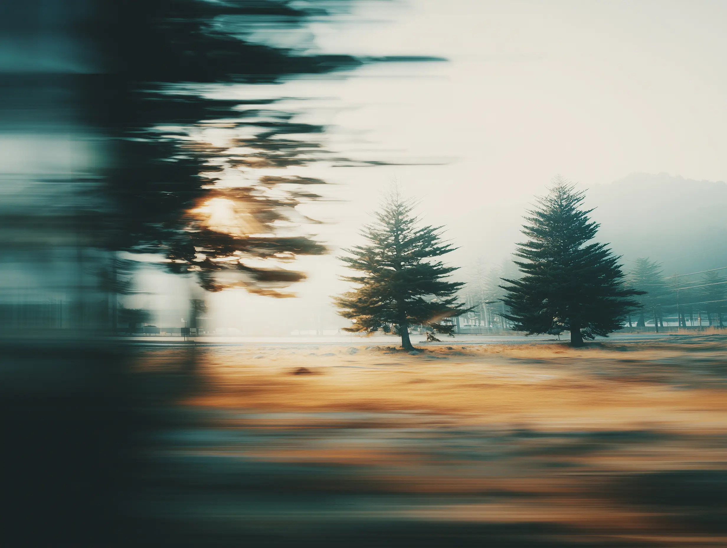 Blurry images of a mountain landscape with pine trees passing by