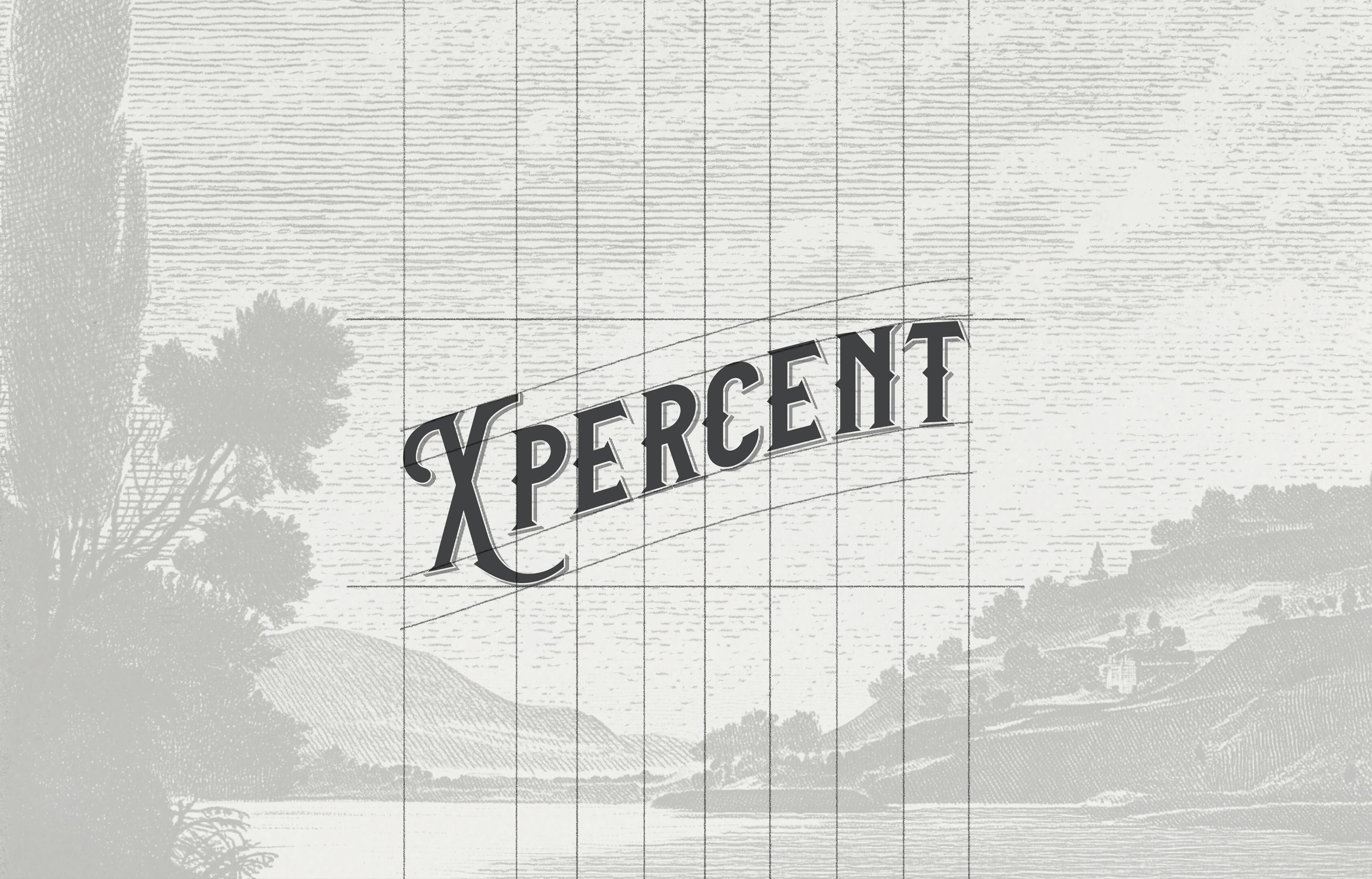X PERCENT BI, branding & packaging design by ORDINAL