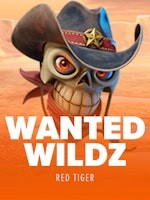 Wanted Wildz - aperçu du jeu