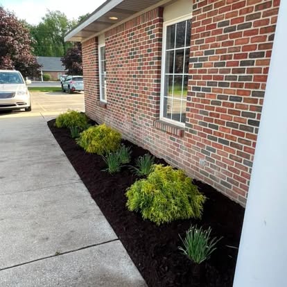 Beautiful landscaped garden with greenery and outdoor design elements.