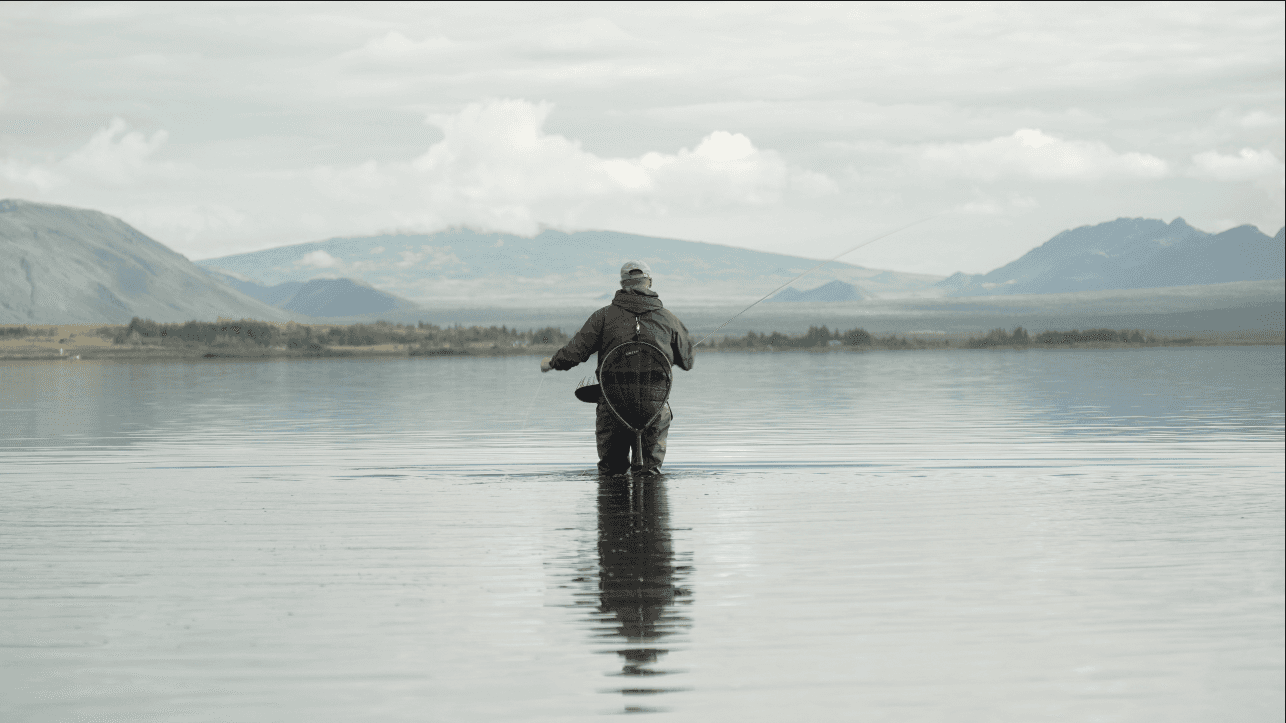 Island, Brown Trout, Arctic char, fjeldørred