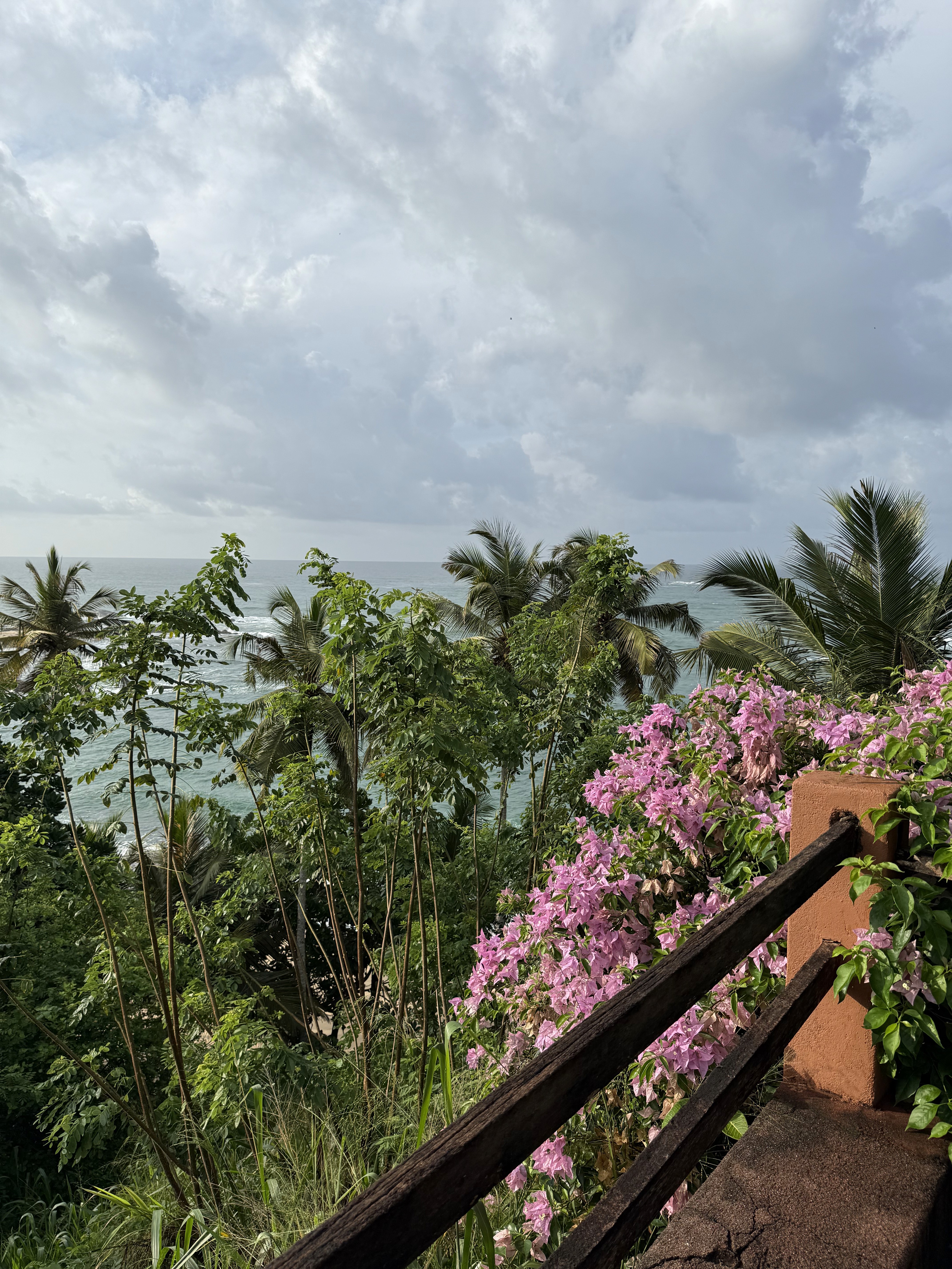 terrace overlooking palm trees