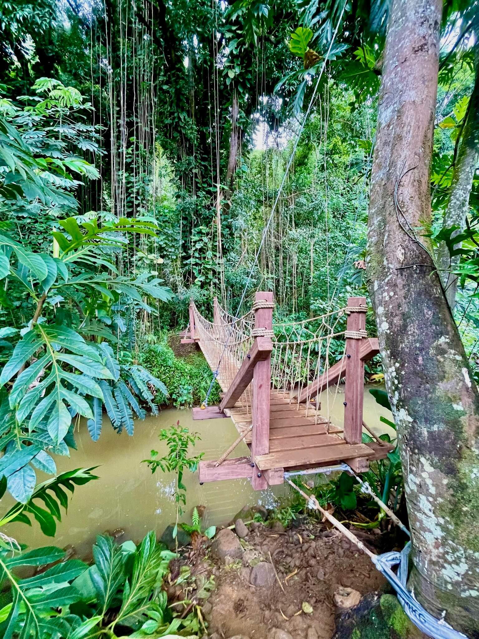 Batch.Works product catalogue book on a work top with a graphic printed image on the front