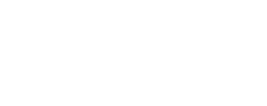 Levis Logo