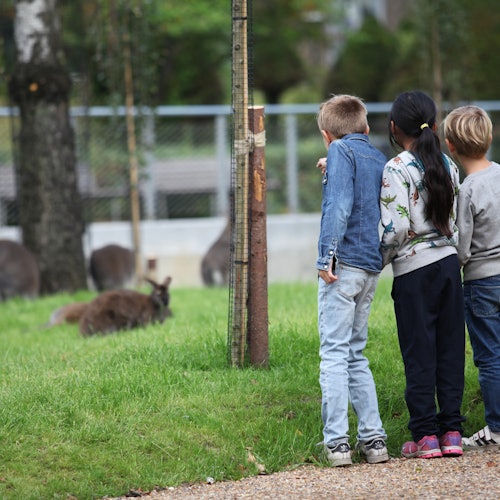 Copenhagen ZOO: Skip The Line Tickets in Frederiksberg