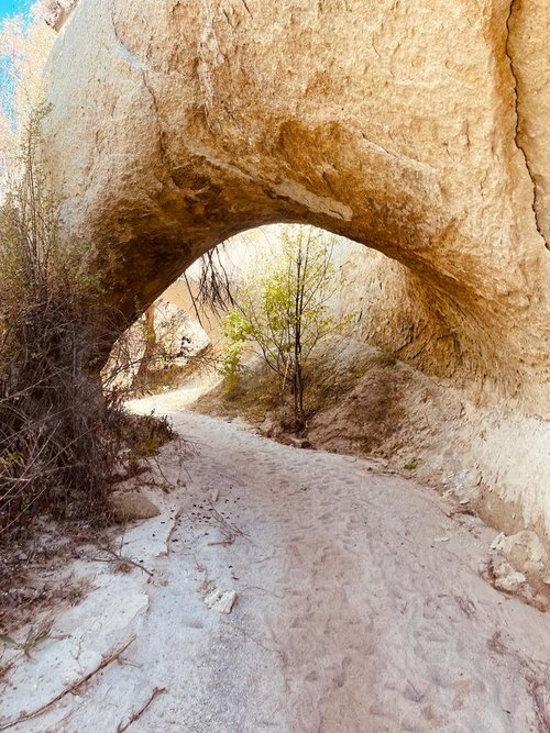 PHOTO-2023-10-20-16-10-31 (1).jpg