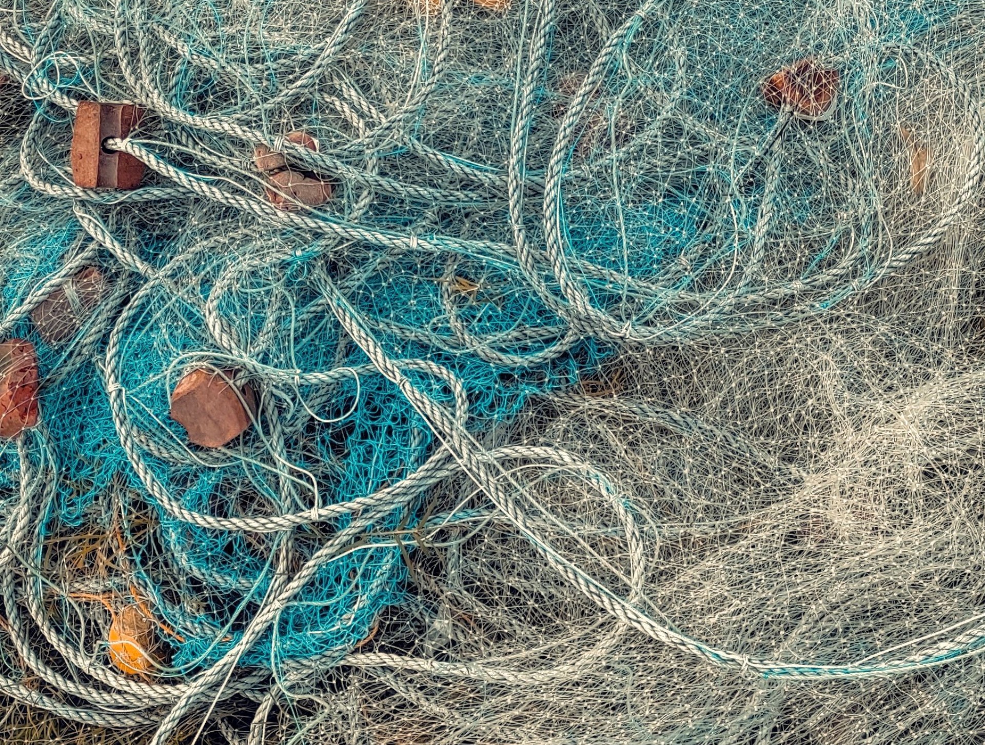 Tangled up gill net