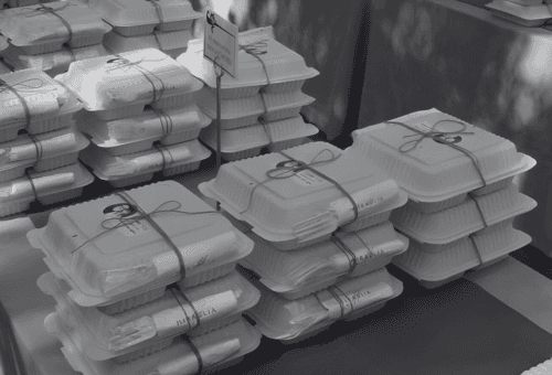 people sitting on bench near green trees during daytime