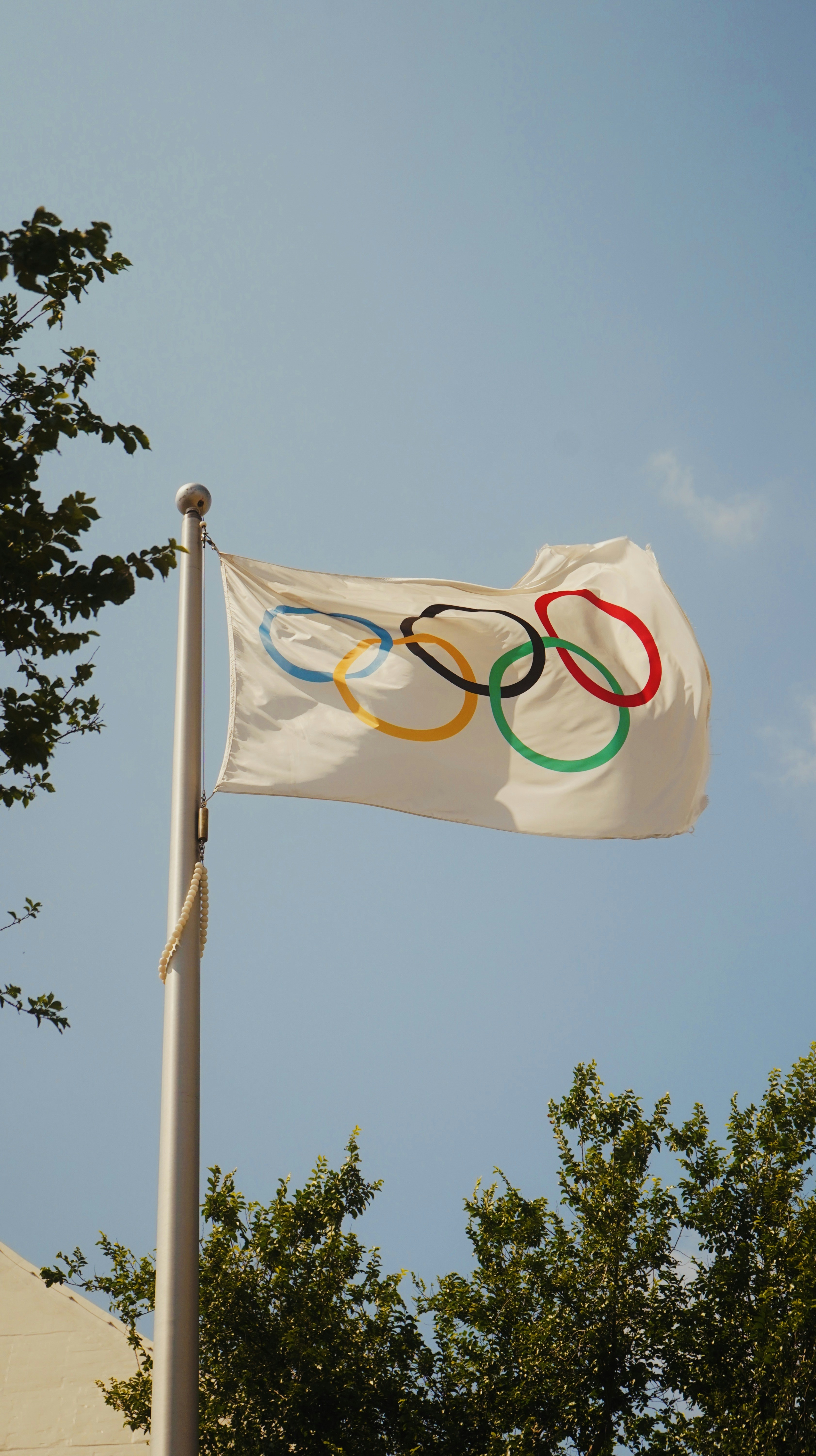 A white flag with the olympic rings on it